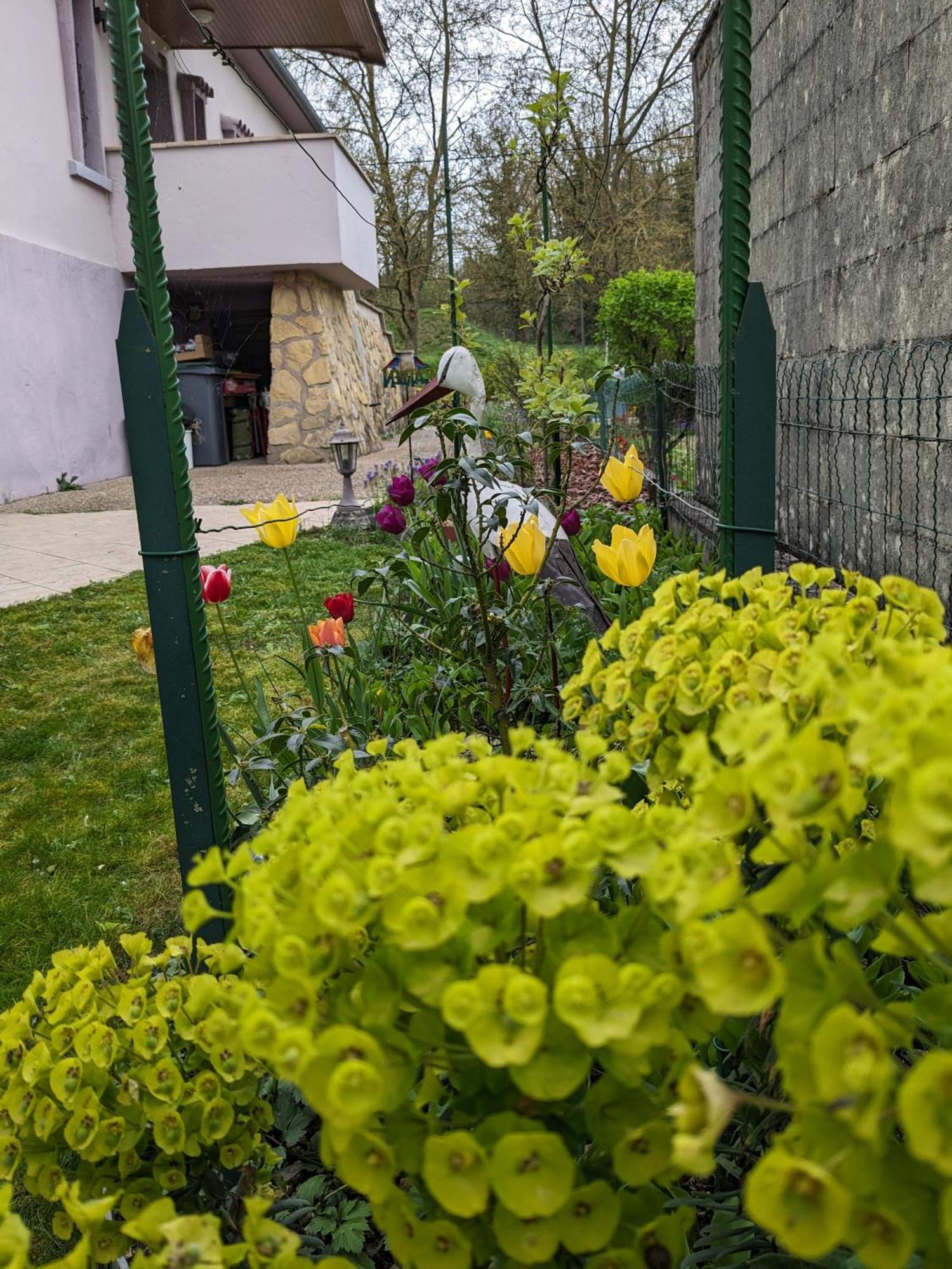 Villa Chantal Verdun-sur-Meuse Екстериор снимка